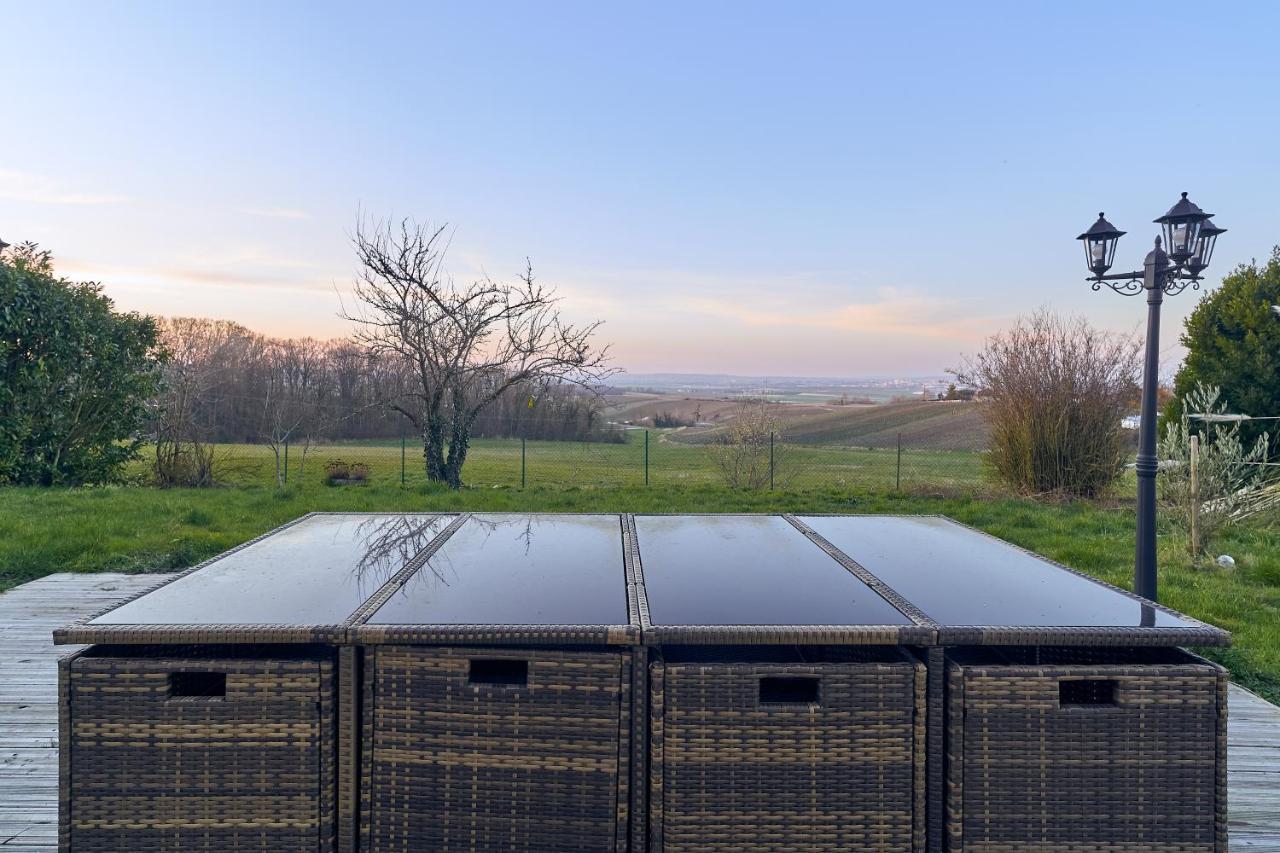 Villa Reims Epernay Champagne Vineyard Villers-Allerand エクステリア 写真