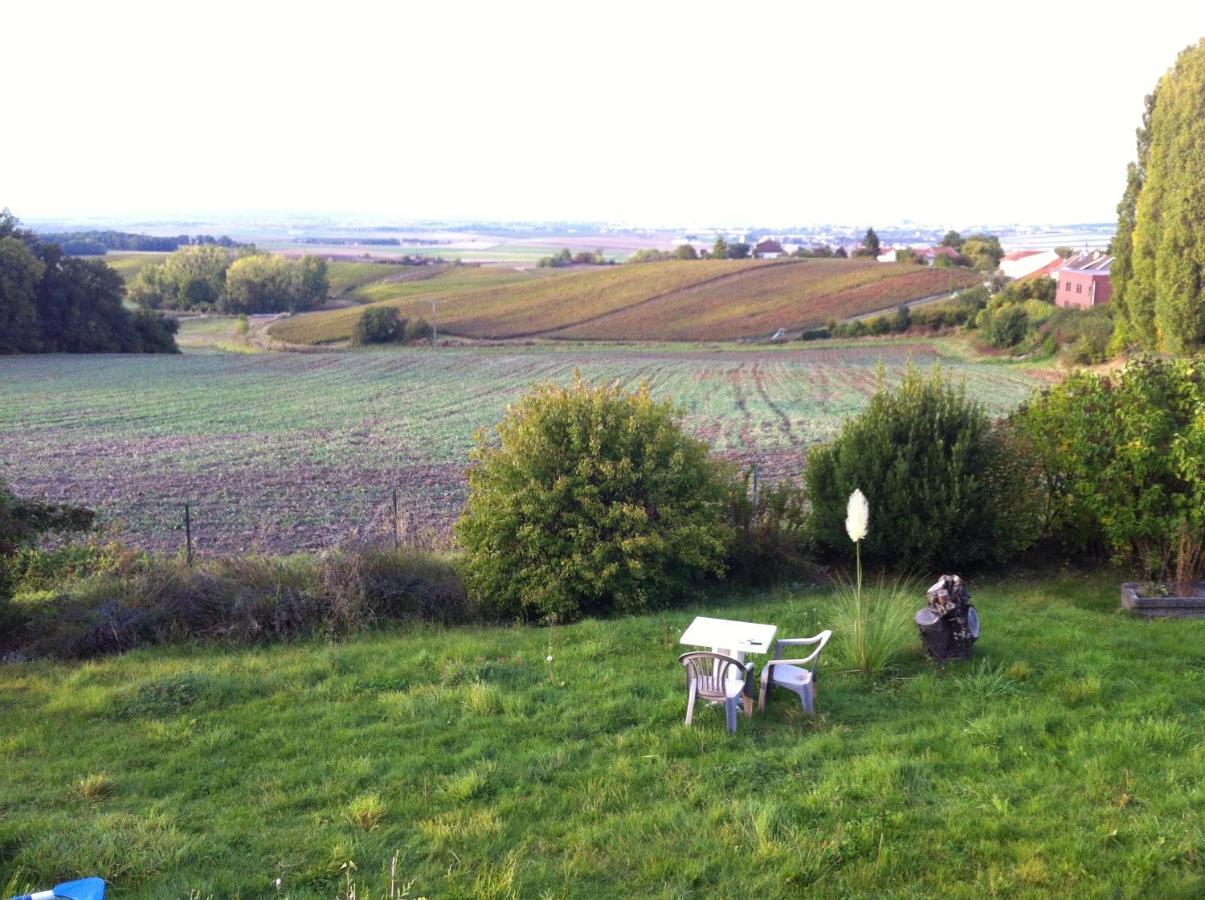 Villa Reims Epernay Champagne Vineyard Villers-Allerand エクステリア 写真